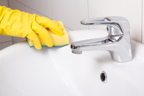 Eco-friendly domestic cleaning products used in Westkensington