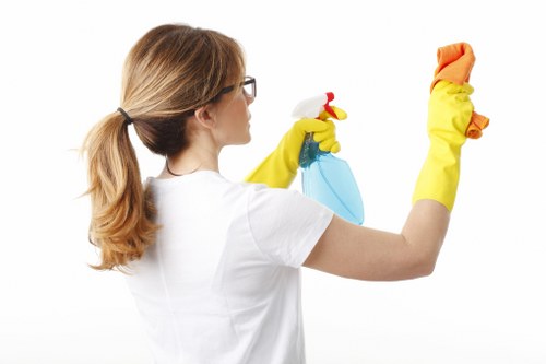Detailed oven cleaning service in Westkensington removing grease and grime
