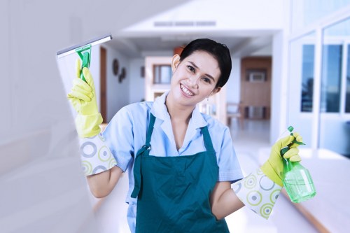 Dusting and floor cleaning in a Westkensington property