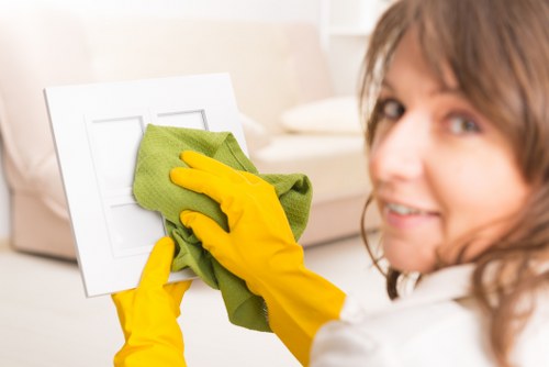 Eco-friendly oven cleaning in Westkensington for a spotless appliance