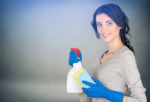 Domestic cleaning tools ready for a Westkensington home